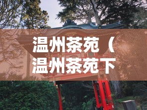 温州茶苑（温州茶苑下载安装）