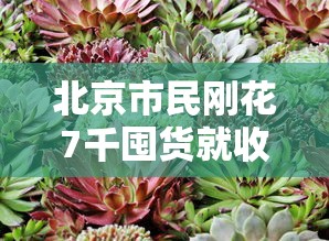 北京市民刚花7千囤货就收到保障包:北京市民刚花7千囤货就收到保障包是真的吗