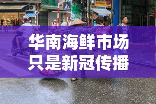华南海鲜市场只是新冠传播点之一（华南海鲜市场不是新冠疫情最初来源）