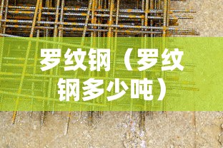 罗纹钢（罗纹钢多少吨）