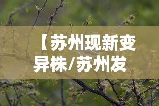【苏州现新变异株/苏州发现新型冠状肺炎】 【苏州现新变异株/苏州发现新型冠状肺炎】