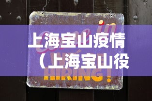 上海宝山疫情（上海宝山役情）