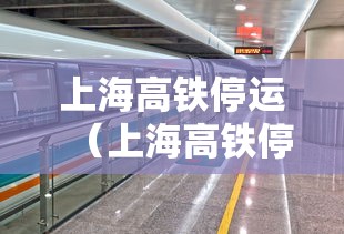 上海高铁停运（上海高铁停运没）