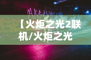 【火炬之光2联机/火炬之光2联机共享仓库用不了】