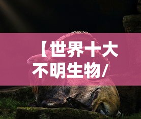 【世界十大不明生物/世界十大不明生物视频】