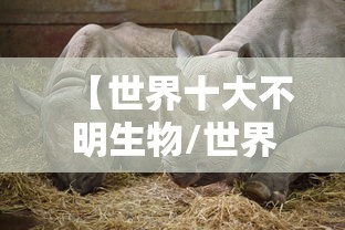 【世界十大不明生物/世界十大不明生物视频】