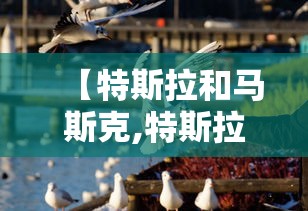 【特斯拉和马斯克,特斯拉和马斯克什么关系】 【特斯拉和马斯克,特斯拉和马斯克什么关系】