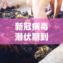 新冠病毒潜伏期到底多少天(新冠病毒潜伏期多长) 新冠病毒潜伏期到底多少天(新冠病毒潜伏期多长)