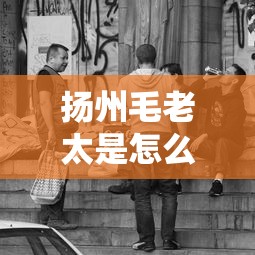 扬州毛老太是怎么回事（扬州毛老太最终什么处罚）