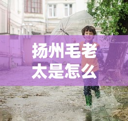 扬州毛老太是怎么回事(扬州毛老太最终什么处罚) 扬州毛老太是怎么回事(扬州毛老太最终什么处罚)