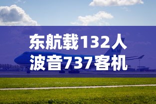 东航载132人波音737客机坠毁/东航737飞机