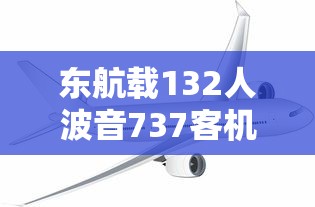 东航载132人波音737客机坠毁/东航737飞机 东航载132人波音737客机坠毁/东航737飞机