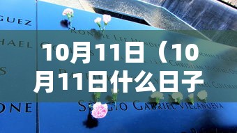 10月11日（10月11日什么日子）
