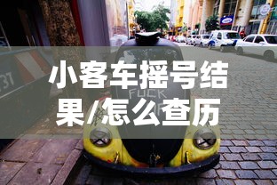 小客车摇号结果/怎么查历史小客车摇号结果