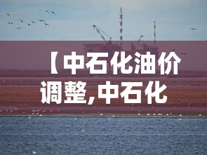 【中石化油价调整,中石化油价调整时间最新消息】