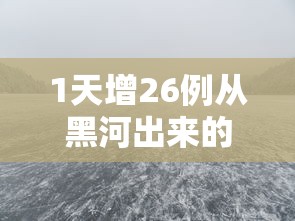 1天增26例从黑河出来的人去哪了:黑河出现冠状病毒肺炎了吗