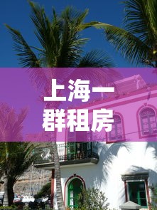 上海一群租房住29人/上海租房多少人算群租