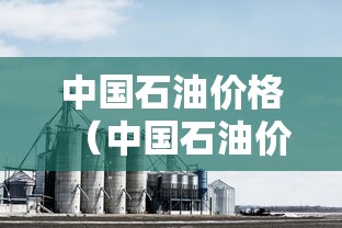 中国石油价格（中国石油价格表92汽油）