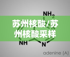 苏州核酸/苏州核酸采样屋变身发热诊疗站