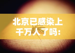 北京已感染上千万人了吗:2025年9月新一轮病毒