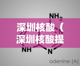 深圳核酸（深圳核酸提取仪厂家）
