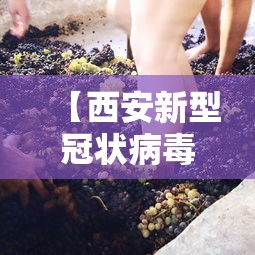 【西安新型冠状病毒/西安新型冠状病毒肺炎】