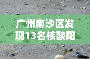 广州南沙区发现13名核酸阳性/广州南沙区为何管控?广东省疾控排查一位初筛阳性病例