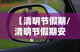 【清明节假期/清明节假期安全教育】