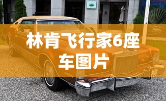 林肯飞行家6座车图片