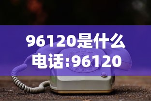 96120是什么电话:96120收费价格表