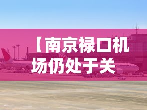 【南京禄口机场仍处于关闭状态/南京禄口机场关闭没】