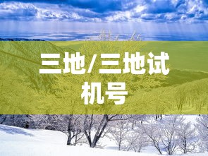 三地/三地试机号