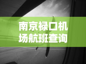 南京禄口机场航班查询/海口美兰机场到南京禄口机场航班查询