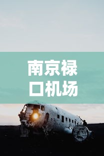 南京禄口机场航班查询/海口美兰机场到南京禄口机场航班查询 南京禄口机场航班查询/海口美兰机场到南京禄口机场航班查询