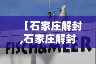 【石家庄解封,石家庄解封是什么意思】