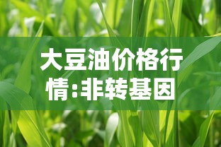 大豆油价格行情:非转基因大豆油价格行情