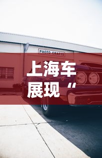上海车展现“返阳潮”（上海春运返乡）