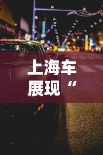上海车展现“返阳潮	”（上海春运返乡）