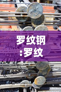 罗纹钢:罗纹钢价格