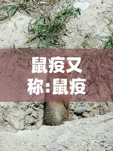 鼠疫又称:鼠疫俗称