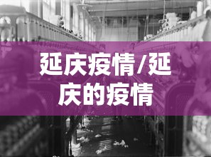 延庆疫情/延庆的疫情
