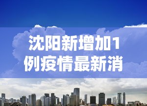 沈阳新增加1例疫情最新消息:沈阳新增加疫情最新轨迹