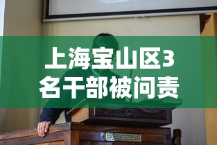 上海宝山区3名干部被问责/宝山区管干部任前公示
