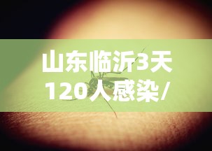 山东临沂3天120人感染/山东临沂感染人数 山东临沂3天120人感染/山东临沂感染人数