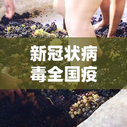 新冠状病毒全国疫情（全国新冠状病毒最新动态数据）