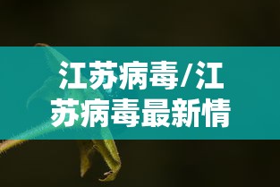 江苏病毒/江苏病毒最新情况 最新消息