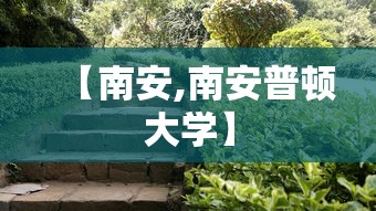 【南安,南安普顿大学】