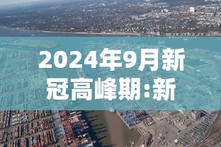 2024年9月新冠高峰期:新冠2025年