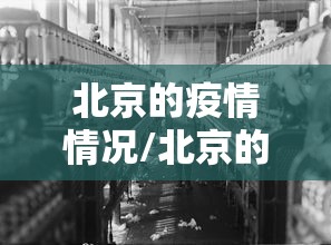 北京的疫情情况/北京的疫情状况