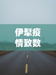 伊犁疫情致数百游客被困高速路/伊犁 封路